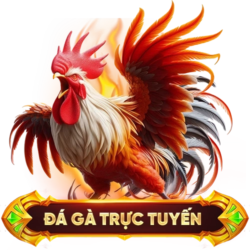 đá gà trực tuyến OK365